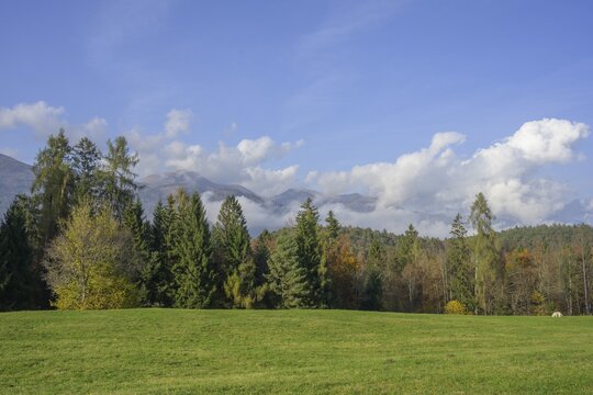 Autumn landscape at the Arte Sella site, Borgo Valsugana, Valle di Sella, Trentino, Italy