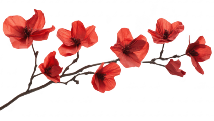 A delicate arrangement of red paper flowers on a slender branch. intricate details against a clean white background. ideal for decorative or artistic purposes