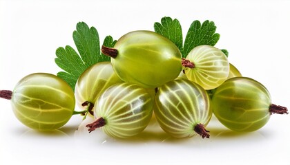 Gooseberries Isolated On White Background