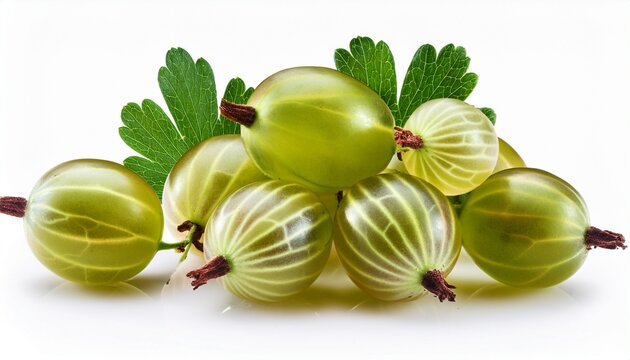 Gooseberries Isolated On White Background - Powered by Adobe