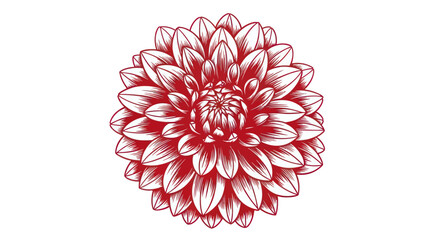 Red dahlia illustration with detailed petals on a white backdrop, symmetrical