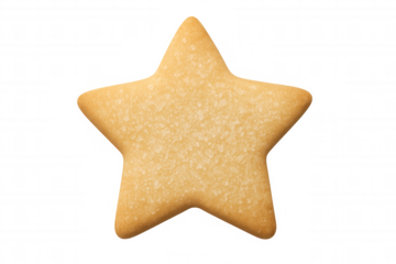 Star sugar cookie with golden brown baked surface, delicious sweet snack and dessert treat