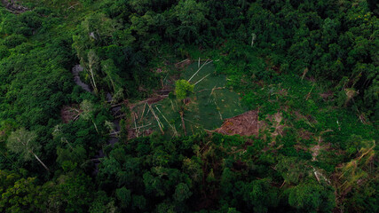 Aerial view of tropical rainforest with visible deforestation, showing cleared land and fallen...
