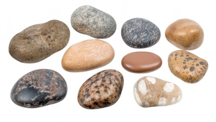 A collection of smooth. polished river stones of various shapes and colors arranged neatly on a white background. ideal for use in design. decoration. or educational purposes