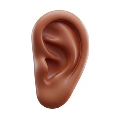 Obraz premium Close-Up Rendered Human Ear on White Background