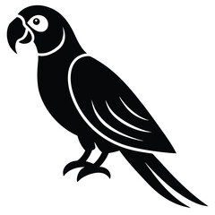 macaw vector icon on white background
