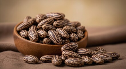 Obraz premium pine cones and nuts
