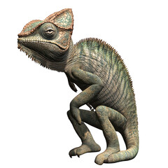 Obraz premium A detailed close-up of a chameleon in a dynamic pose. its unique skin texture and colors. set against a plain background. ideal for educational and wildlife photography