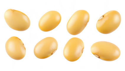 A collection of yellow soybeans arranged artistically on a white background. their smooth texture and natural color. ideal for food-related projects or agricultural themes