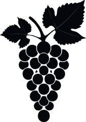 Obraz premium grape, fruit, vine, leaf, grapes, wine, bunch, food, berry, vector, ripe, plant, nature, illustration, branch, green, grapevine, vineyard, sweet, harvest, agriculture, fresh, 