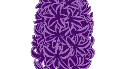 Fototapeta premium Stylized hyacinth in two purple shades against a white background