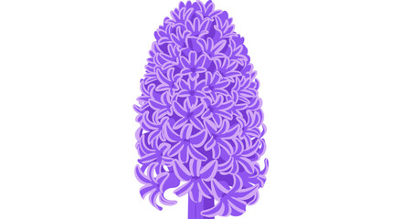 Stylized purple hyacinth flower on white background