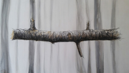 Close-up macro view of a textured twig with knots and small branches