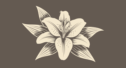 Lily flower graphic