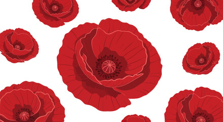 Scattered red poppy blooms on a plain white background