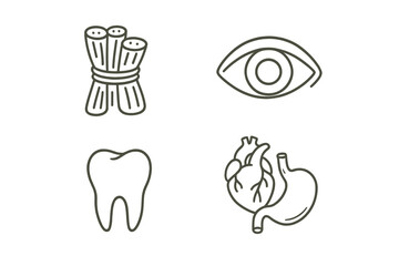 Anatomy line icon set. Eye, tooth, muscle fibers, heart, stomach. Medical and healthcare symbols. Vector collection for biology, apps, web. Editable stroke design elements.