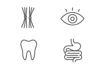 Medical and anatomy line icon set. Thin line vector icons of eye, tooth, intestines, and muscle fibers. Editable stroke design elements for apps, web, and infographics.
