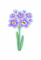 Oil pastel hand drawing Myosotis sylvatica or Forget-me-not flower.