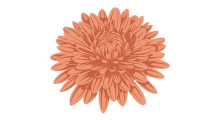 Detailed orange bloom graphic