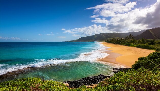 North Shore Laniakea Beach Oahu Maui