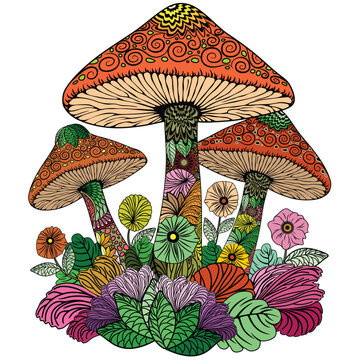 Mushrooms decorative Nature elements assembled to compose a bouquet vector illustration multicolored psychedelic zentangle style
