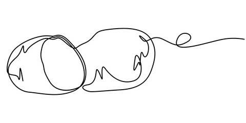 potato continuous one line drawing, Potatoes vector illustration. One continuous line drawing art illustration. 