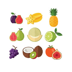 Colorful Vector Illustration of Fresh Fruits