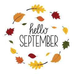 Obraz premium Hello September lettering. Autumn foliage background. Vector illustration for design, card, sale, background.