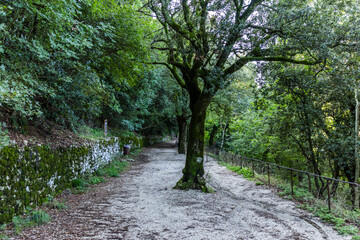 The Sanctuary of Eremo delle Carceri in Assisi,, Italy. Located 791 metres (2,595 ft) above sea...