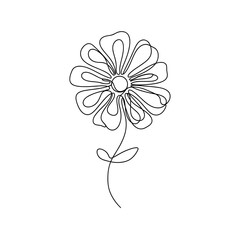Flower Line Drawing Vector Illustration 