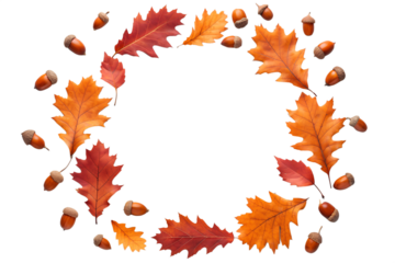 Autumn oak leaves and acorns wreath isolated on white background