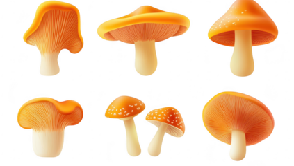 A collection of various orange mushrooms displayed against a clean white background. their unique shapes and textures. ideal for nature-themed projects or educational materials