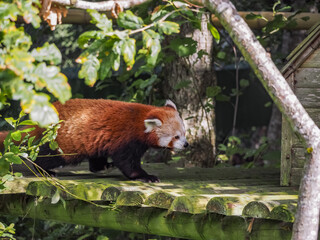 Views around a wildlife park 