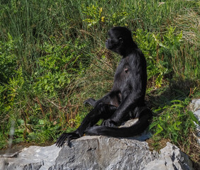 Views around a wildlife park 