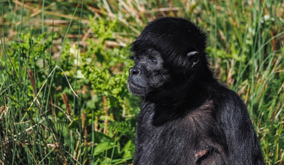 Views around a wildlife park 