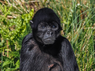 views around a wildlife park with captive animals
