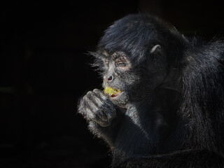 views around a wildlife park with captive animals