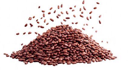 A pile of brown cocoa beans spilling from above. set against a clean white background. the rich texture and color. ideal for culinary or agricultural stock imagery