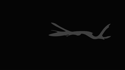 Minimalist Silhouette of Flying Bird on Black Background
