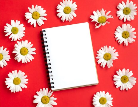 Blank notebook surrounded by daisies on red - Powered by Adobe