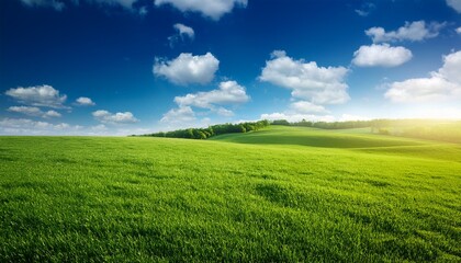 Fototapeta premium Green Land With Blue Sky In Background