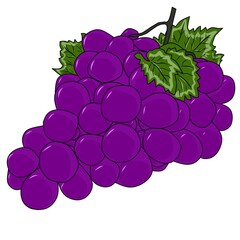 bunch of grapes