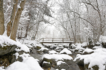 White silence beneath the creaking bridge (Aran Valley, winter landscape)