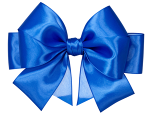 Decorative Royal Blue Organza Gift Bow with Ribbons