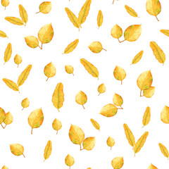 Colorful yellow leaves scattered on a white background represent autumn and nature's beauty