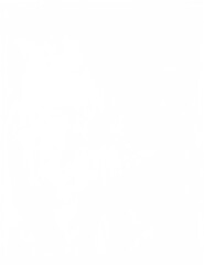 Transparent Plastic Film Overlay Sheet Foil Layer Cover Wrapping Clear Glossy Matte Protective Surface Background Texture