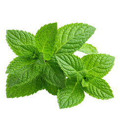 Mint leaves isolated on transparent png 