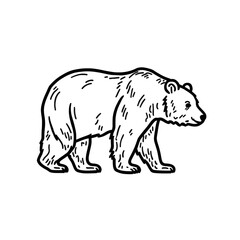 Fototapeta premium Bear, the powerful animal of the forest