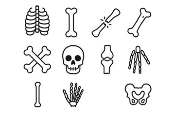 Obraz premium Human bones line icon set. Anatomy skeleton symbol collection. Skull, fracture, joint, pelvis, rib cage. Orthopedic, medical, and healthcare vector pictogram. Editable stroke.