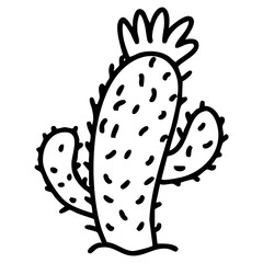 traditional brazilian flowering cactus plant